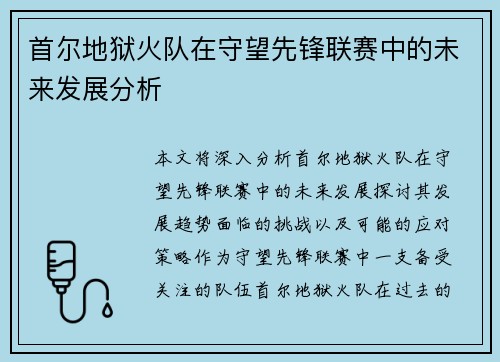 首尔地狱火队在守望先锋联赛中的未来发展分析